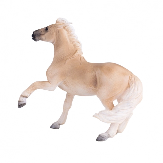 Mojo Konj Brumby Mare