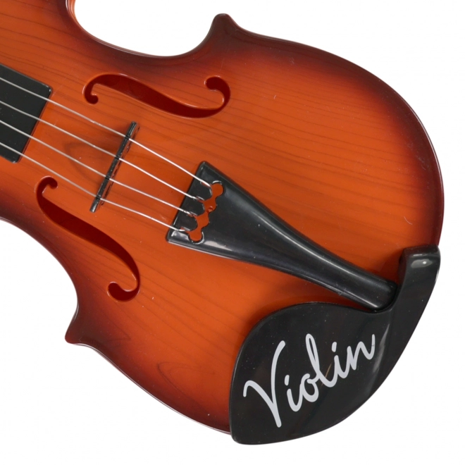 Violina z lokom