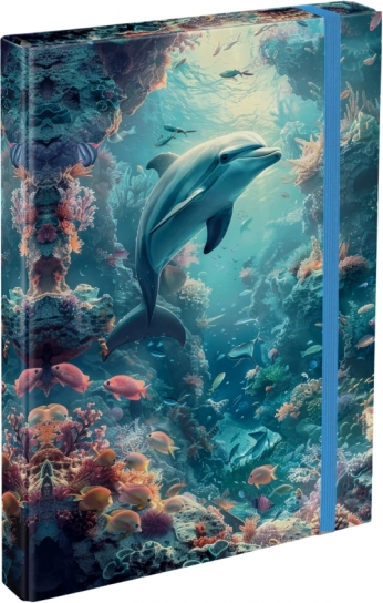 Mape za šolske zvezke A4 Delfin