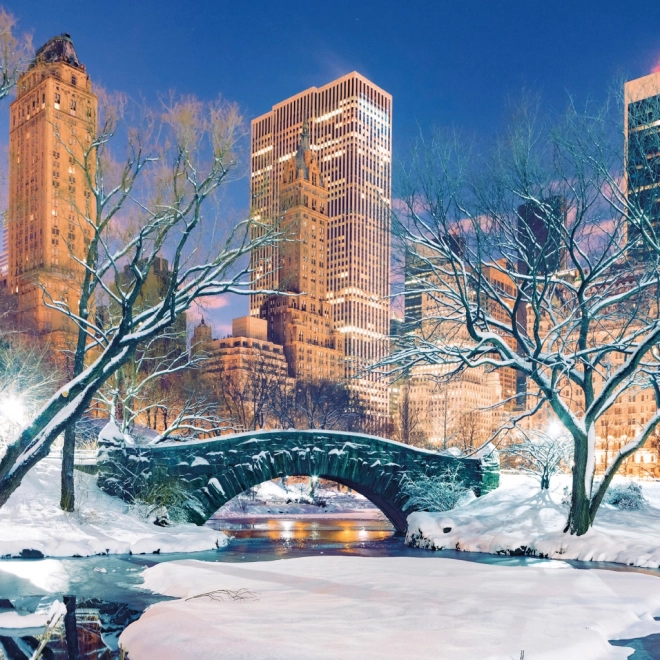 Opomni redni koledar New York 2026
