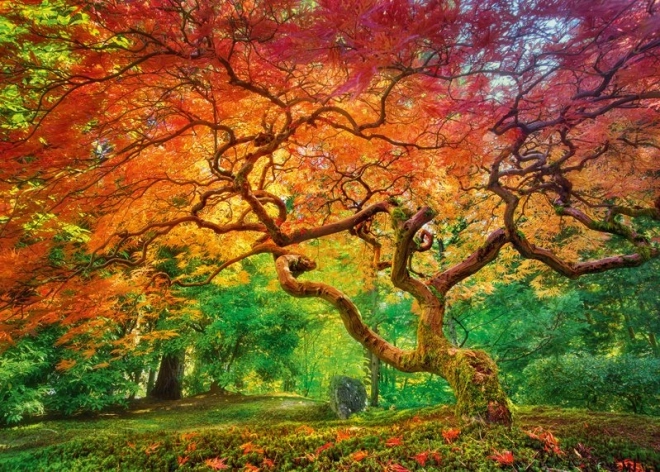 Cherry Pazzi puzzle Krošnja drevesa 1000 koščkov