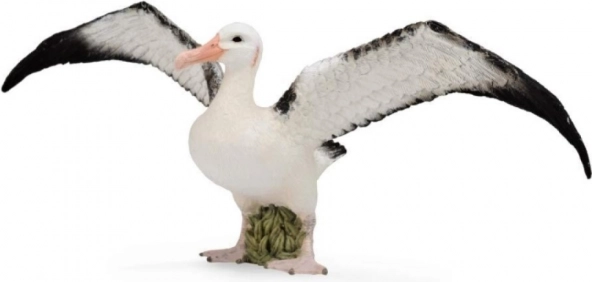 Selivski albatros