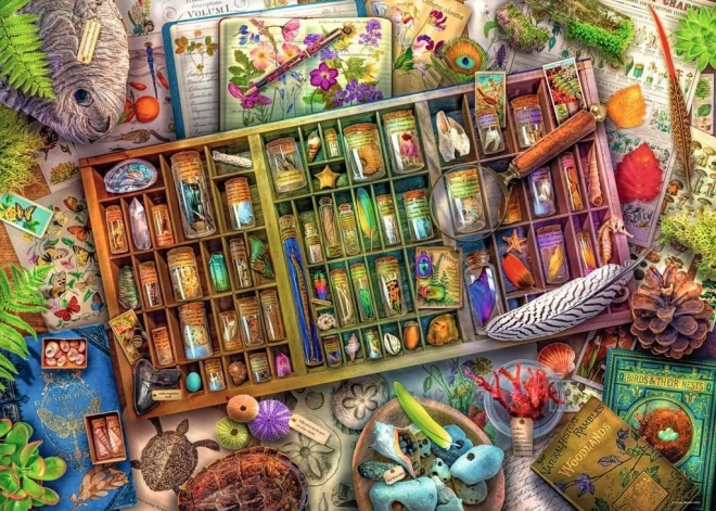 Ravensburger sestavljanka Naravoslovna zbirka 1000 koščkov