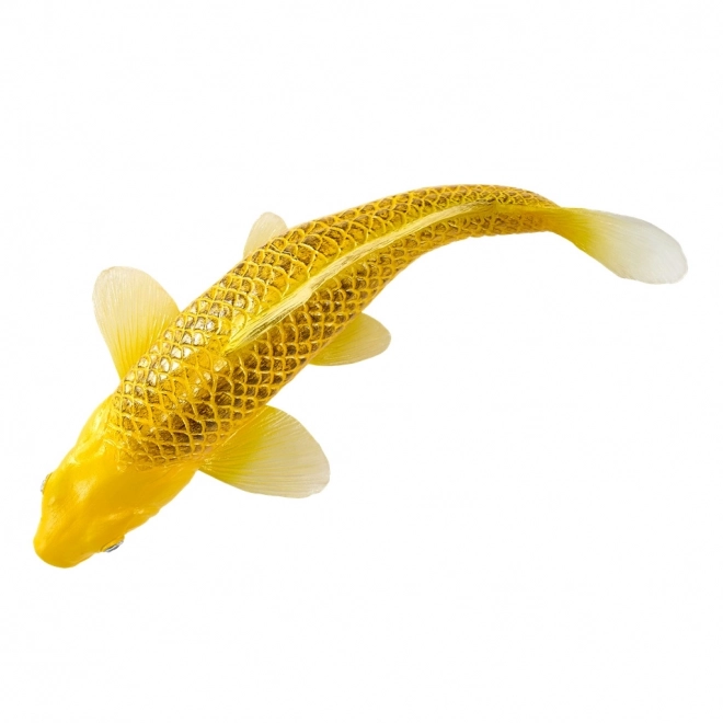 Mojo krap koi Matsuba