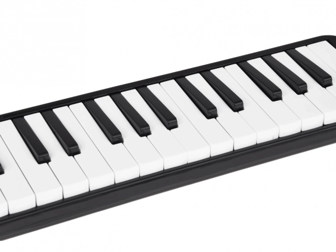 Melodika s tipkami in etuijem