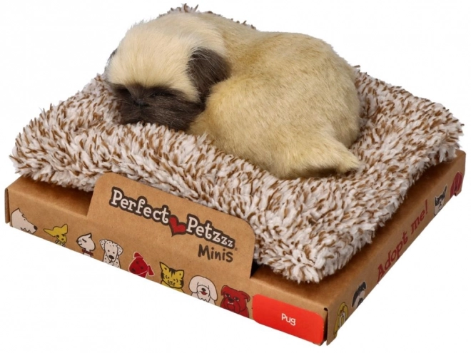 Ljubka psička mops Perfect Petzzz