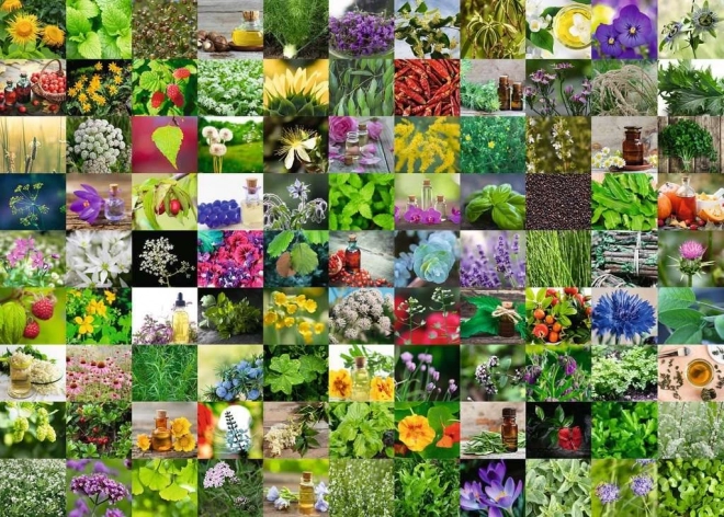 Sestavljanka RAVENSBURGER 1000 koščkov 99 zelišč