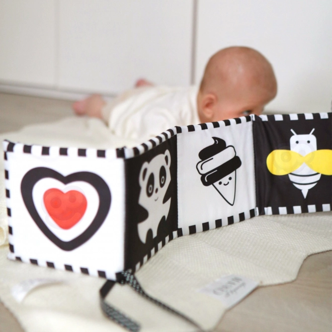 Montessori XXL izobraževalna škatla 7v1 TOOKY TOY