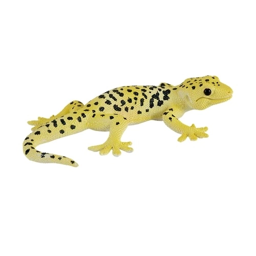 Mojo Leopardji gecko