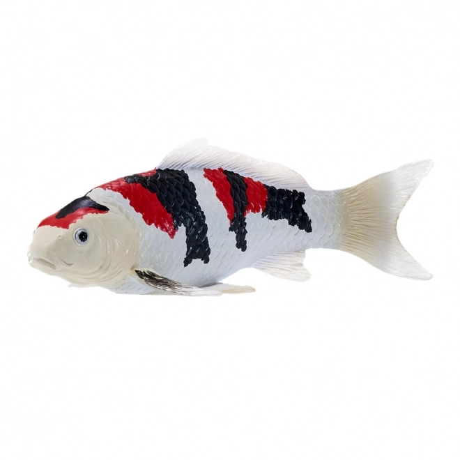 Mojo krap koi showa sanshoku