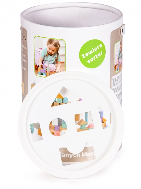 Lesene kocke 100 kosov v vedru s sortirnikom Ecotoys