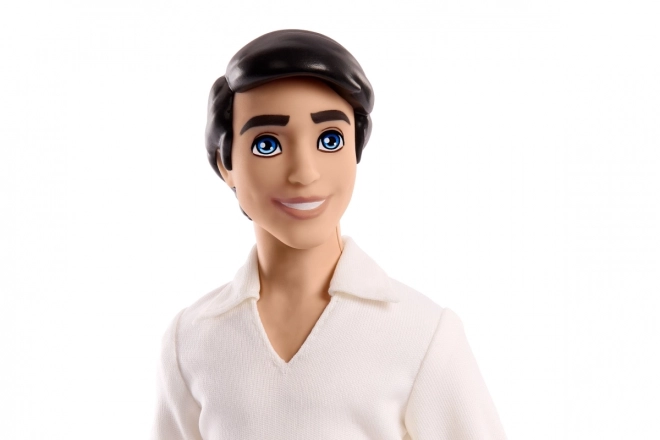 Disney princesa Princ Eric