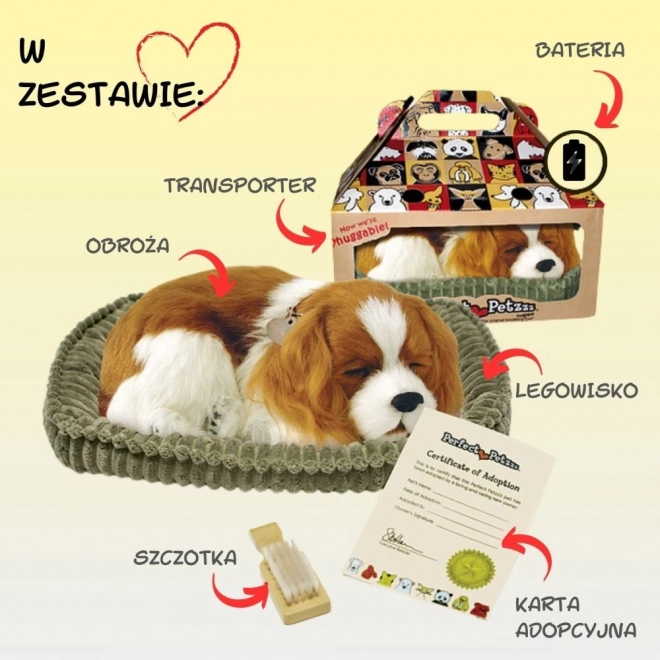 Dihajoči mladiček Cavalier