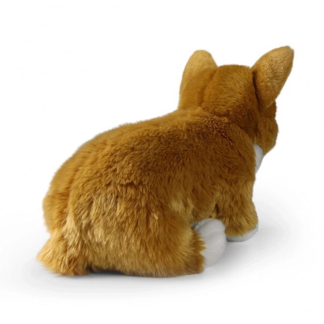 Plišasti pes corgi 32 cm iz ekoloških materialov