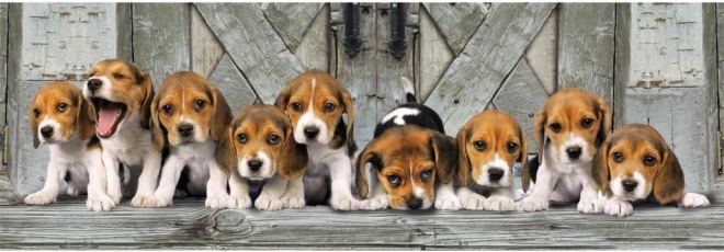 Sestavljanka 1000 kosov Kompaktna panorama Beagle