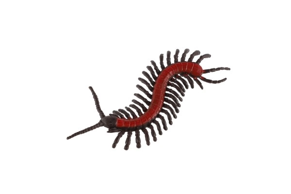 Realistični plastični modeli žuželk