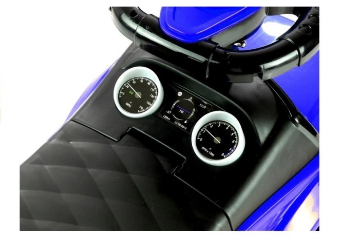 Voziček Rider 614W Modra