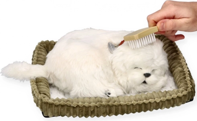 Nega in crkljanje kot pri pravem kužku