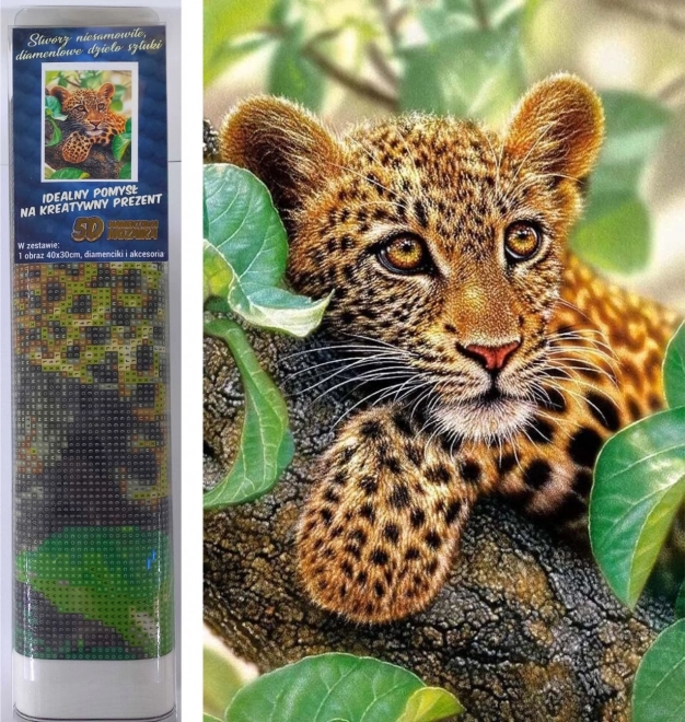 Set za diamantno slikanje - leopard