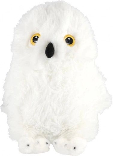 Ljubek in realističen videz