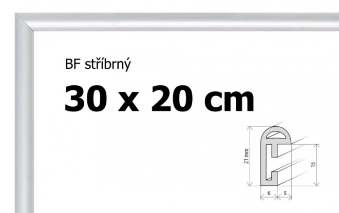 Plastičen okvir 30x20 cm srebrn