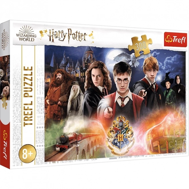 Skrivnostni Harry Potter puzzle 300 kosov