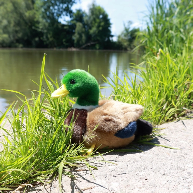 Plišasta raca 20 cm EKO-PRIJAZNA