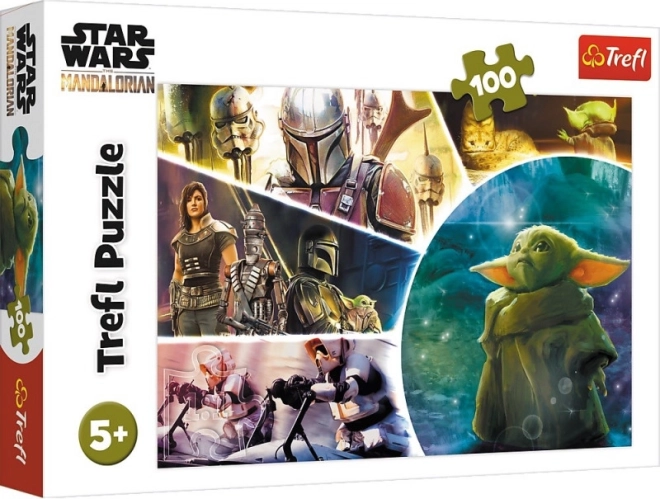 Sestavljanka STAR WARS: THE MANDALORIAN – Baby Yoda, 100 kosov TREFL