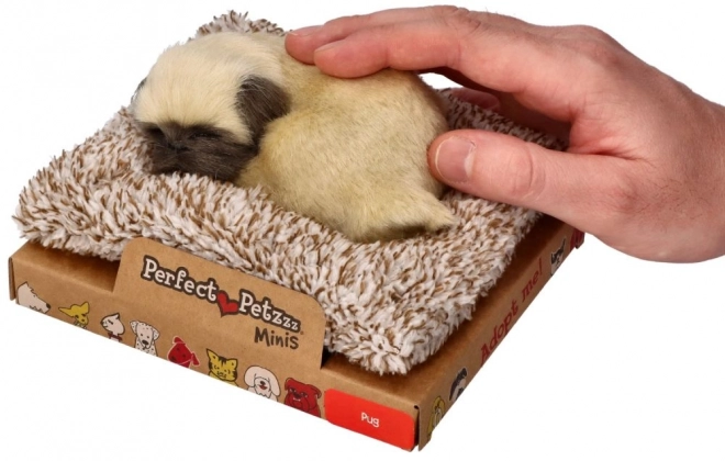 Ljubka psička mops Perfect Petzzz