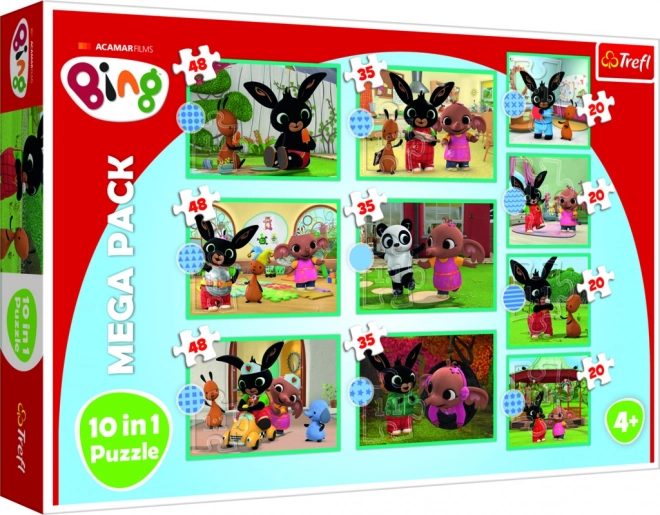 Mega Paket Sestavljanka Bing 10v1