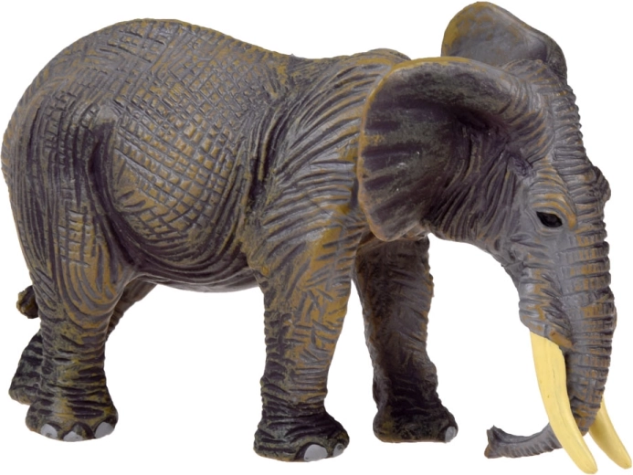 Impozanten slon kot osrednji element kompleta