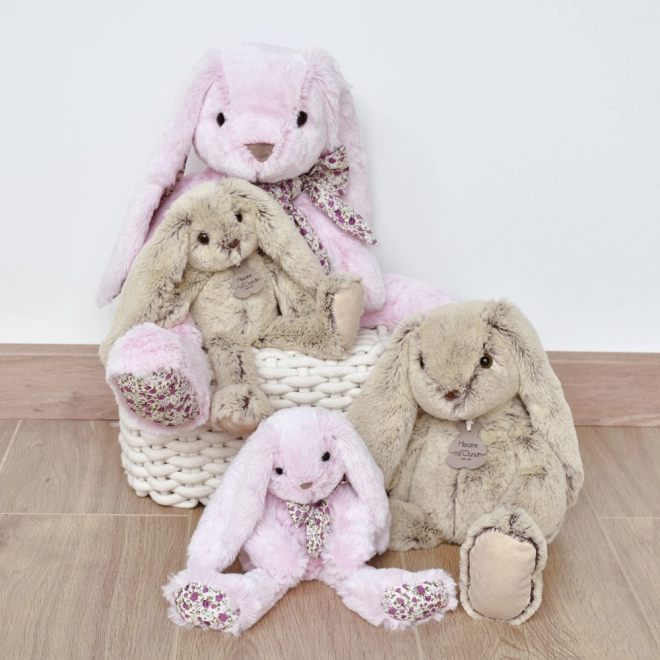 Doudou Zgodba o Medvedu Plišasti prijatelj bež zajček 40 cm