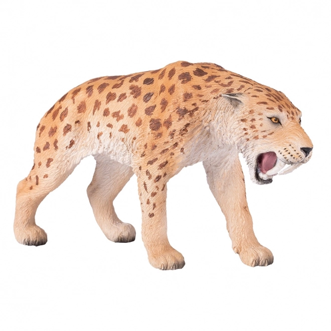 Mojo Saberzob