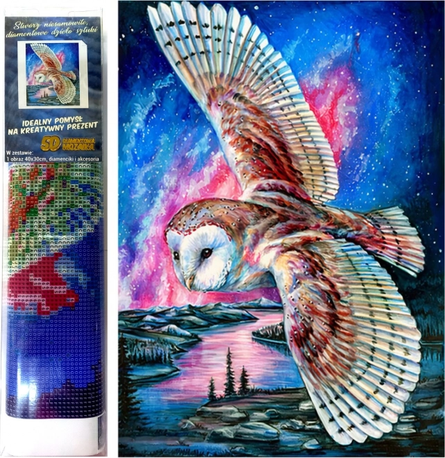 Norimpex Diamantno slikanje Sovi let 30x40 cm