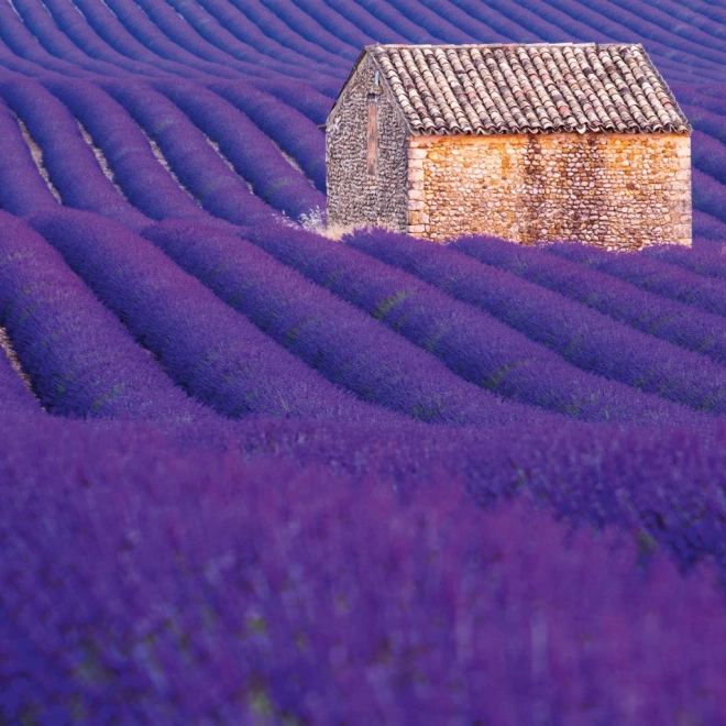 Koledar za beležke Provence 2026