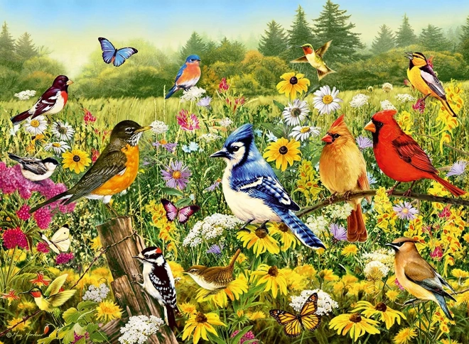 Ravensburger puzzle Ptičja trata 500 koščkov