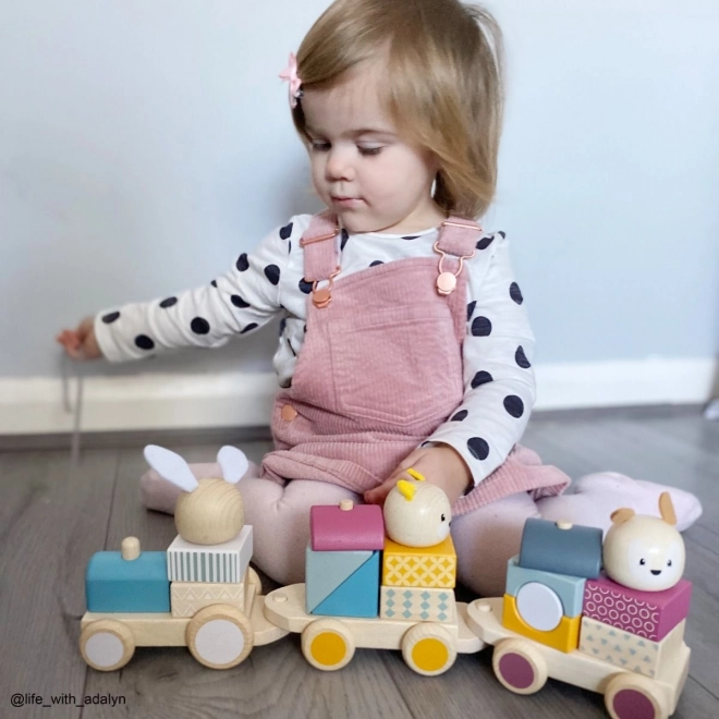 Bigjigs Baby Lesen vlakec z živalcami