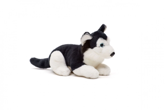 Plišasti husky 15 cm