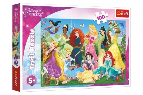 Uganka Čudovite princese/Disney 100 kosov 41x27,5 cm v škatli 29x19x4 cm