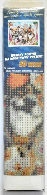 NORIMPEX Diamantno slikanje Nori selfie 30x40cm
