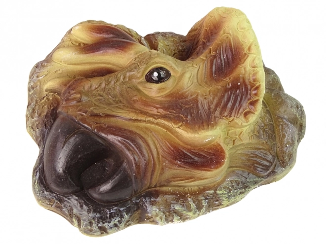 Izobraževalni komplet izkopanin Triceratops
