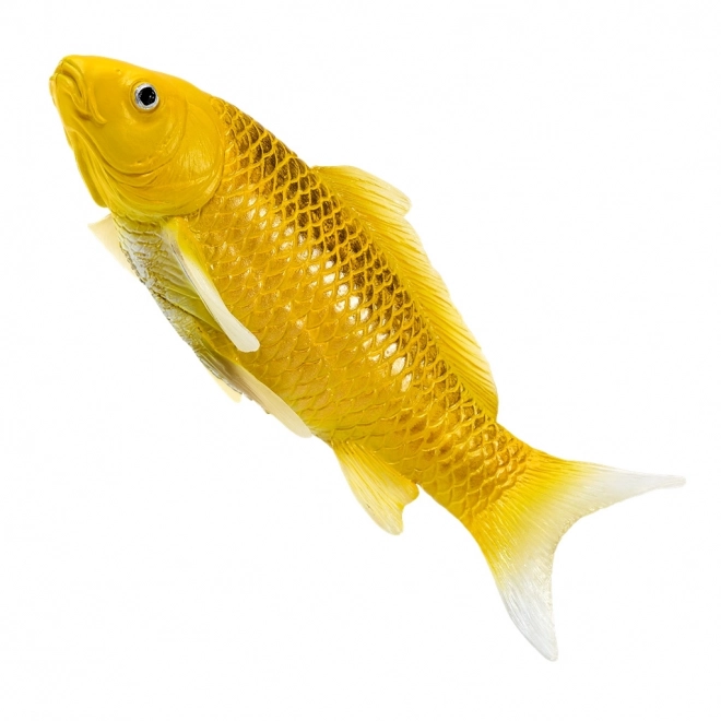Mojo krap koi Matsuba