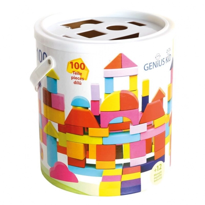 Bino Kocke v vedru 100 kosov nove barve