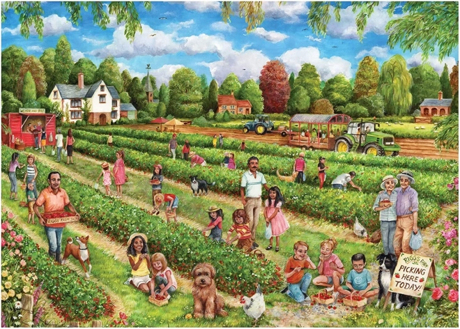 Puzzle Zbiranje jagod 1000 kosov