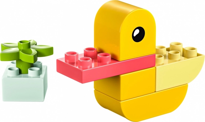 DUPLO Moja prva račkica 4 v 1