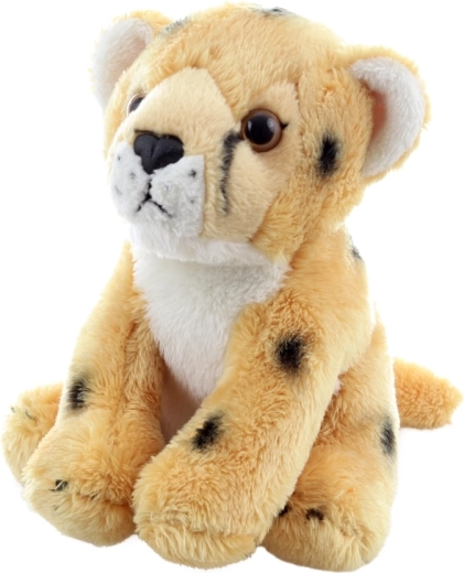 Realistične podrobnosti za razvoj domišljije