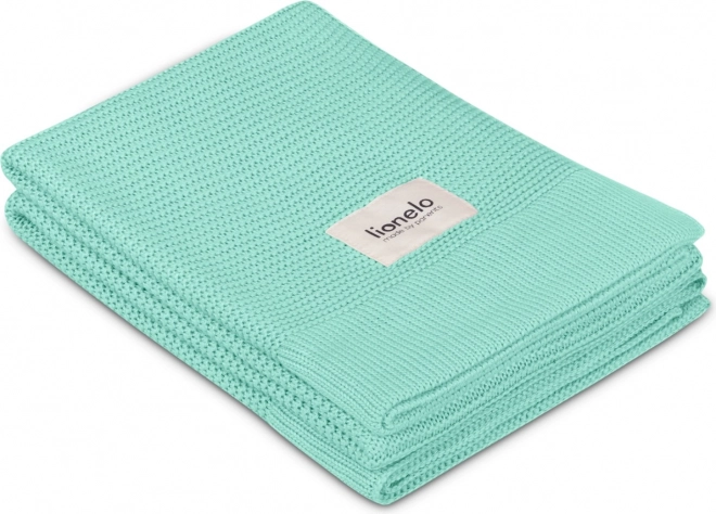 Mehka bambusova odeja Green Mint Lionelo