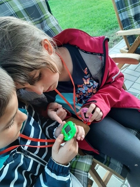 Elektronski obesek za hišnega ljubljenčka s trakom plastika 5x6cm na baterije, mix barv 10,5x15x2cm