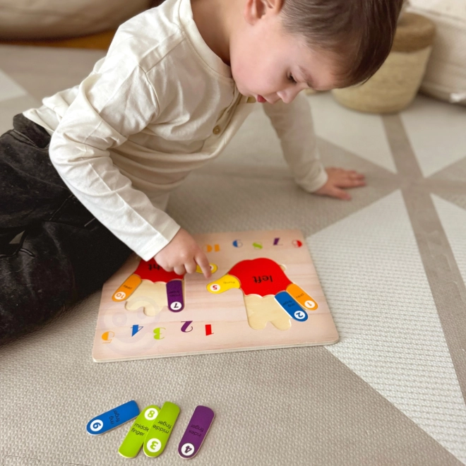 Lesena učna sestavljanka Roke TOOKY TOY