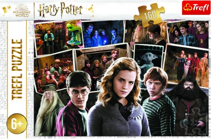 Sestavljanka HARRY POTTER in prijatelji 160 kosov Trefl
